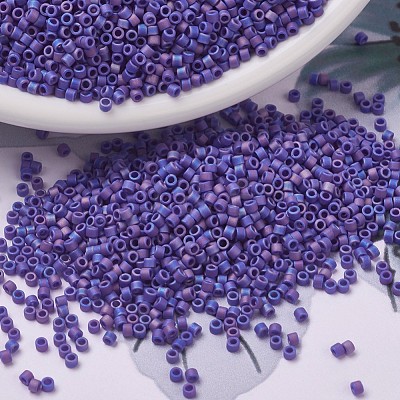 MIYUKI Delica Beads X-SEED-J020-DB0880-1