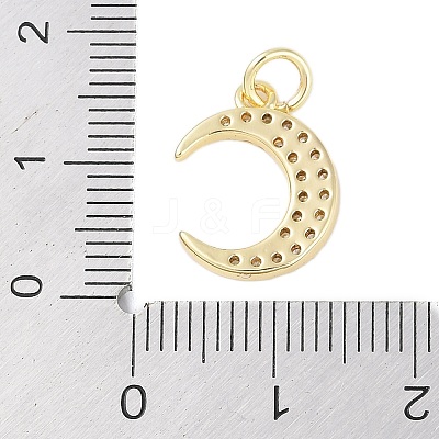 Rack Plating Brass Micro Pave Clear Cubic Zirconia Charms KK-Z060-09G-03-1