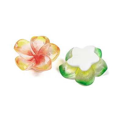 Opaque Resin Cabochons RESI-R455-01F-1