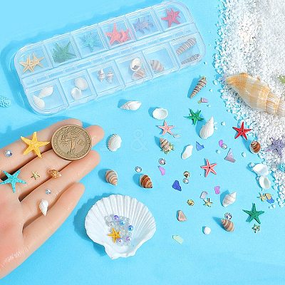 Ocean Theme Natural Shell & Resin & Plastic & Alloy Nail Art Decoration MRMJ-CP0001-34A-1