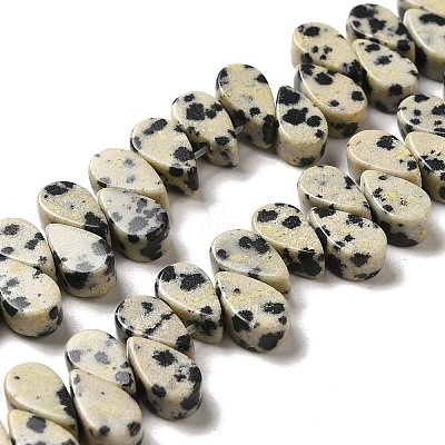 Natural Dalmatian Jasper Beads Strands G-B064-B11-1