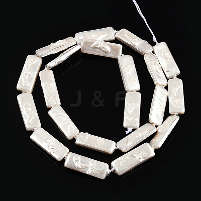 Plating Natural Freshwater Shell Beads Strands X-SHEL-N026-231-1