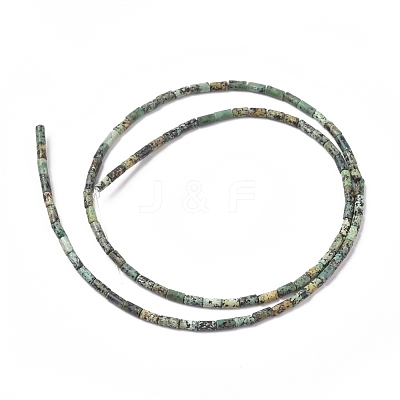 Natural African Turquoise(Jasper) Beads Strands G-F631-B15-1