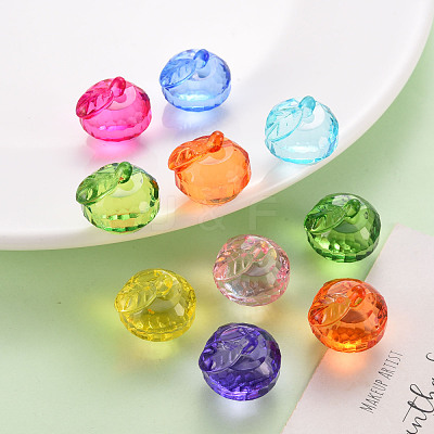 Transparent Acrylic Pendants TACR-T024-05B-1