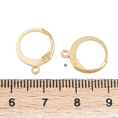 304 Stainless Steel Leverback Earring Findings STAS-F141-02G-1