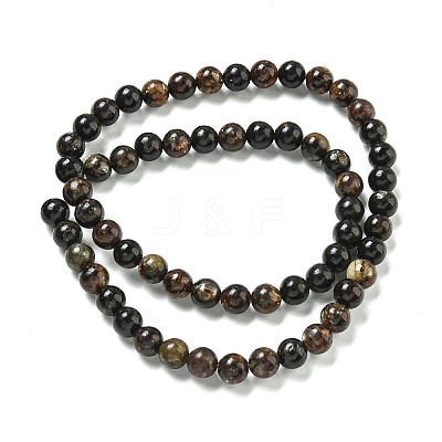 Natural Phlogopite Beads Strands G-P546-A01-02-1