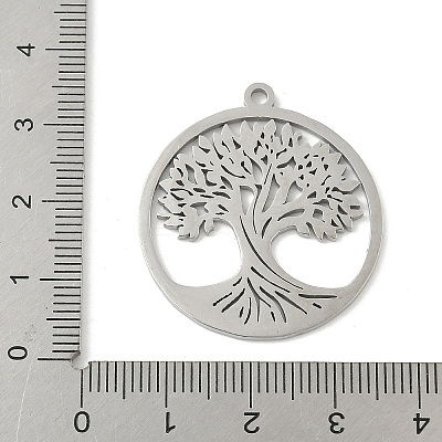 304 Stainless Steel Pendants STAS-V016-11P-1