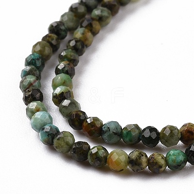 Natural African Turquoise(Jasper) Beads Strands G-P472-02-1