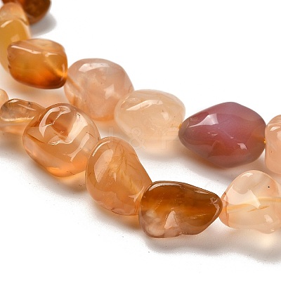 Natural Carnelian(Dyed & Heated) Beads Strands G-P497-01C-69-1