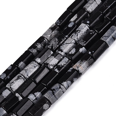 Natural Snowflake Obsidian Beads Strands GG-N002-01A-05-1
