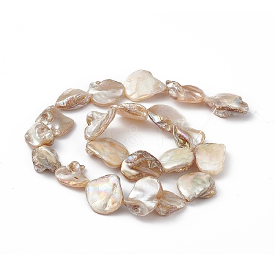 AB Color Plated Natural Freshwater Shell Beads Strands BSHE-G033-03B-1