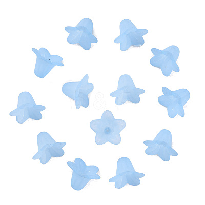Transparent Acrylic Beads PLF018-06-1