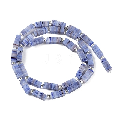 Handmade Lampwork Beads Strands LAMP-Q037-01B-07-1