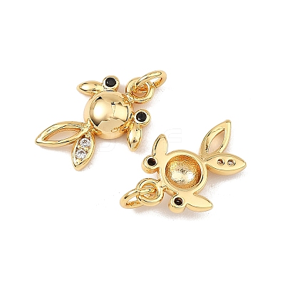SHEGRACE Brass Cubic Zirconia Charms XGRQ3P512-586G-1