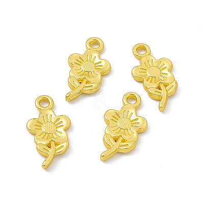 Rack Plating Alloy Pendants FIND-G045-48MG-1
