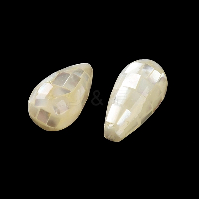 Natural White Shell Beads SSHEL-B002-10B-04-1