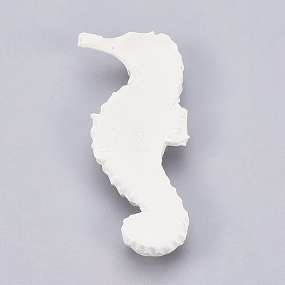 Resin Cabochons RESI-WH0002-02-1