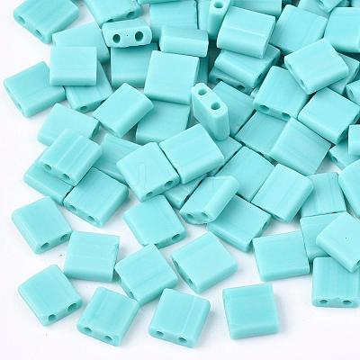 2-Hole Opaque Glass Seed Beads SEED-S023-09H-1
