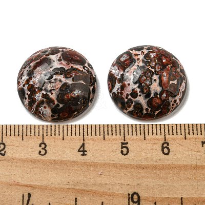 Natural Leopard Skin Jasper Cabochons G-C115-02A-44-1