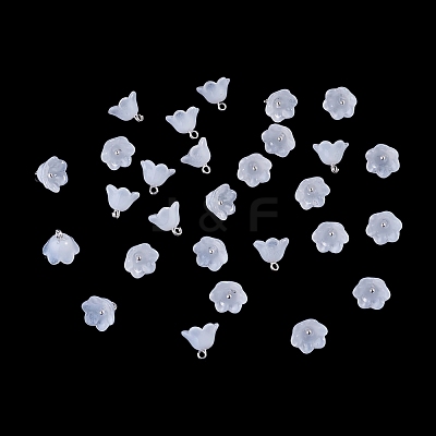 38Pcs Glass Charms GLAA-TADJ0001-19F-1