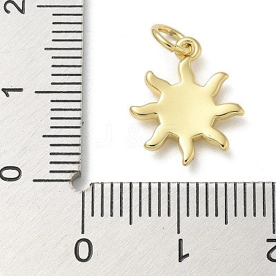 Rack Plating Brass Enamel Charms KK-K392-50G-01-1