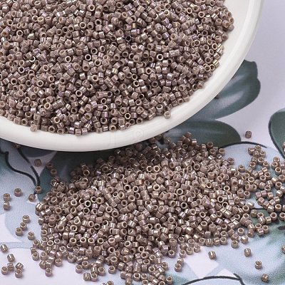 MIYUKI Delica Beads X-SEED-J020-DB2271-1