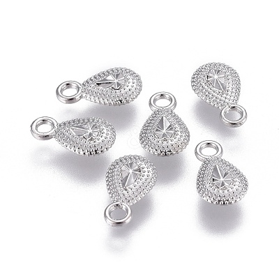 Alloy Charms PALLOY-F241-04P-1