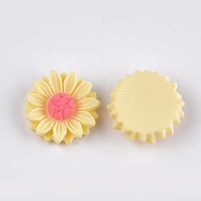 Resin Cabochons CRES-T010-60H-1