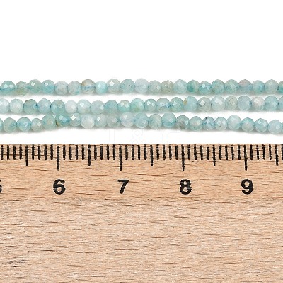 Natural Amazonite Bead Strands G-P279-42-2mm-01-1