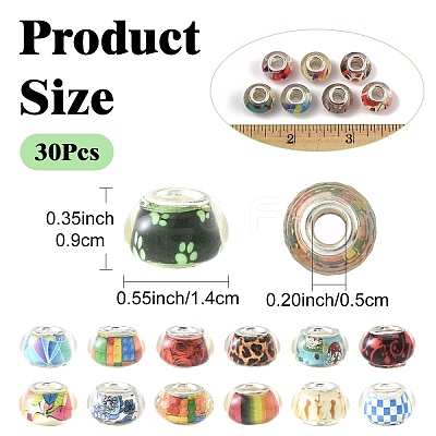 30Pcs Large Hole Resin European Beads OPDL-YW0001-07-1