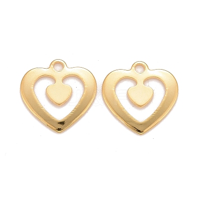 201 Stainless Steel Charms LS-STAS-K217-75G-1