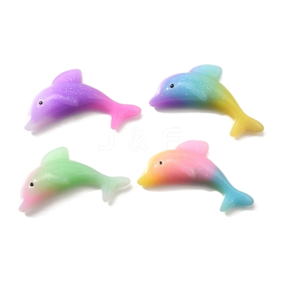 Gradient Color Resin Cabochons RESI-H035-04-1