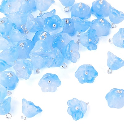 38Pcs Glass Charms GLAA-TADJ0001-19A-1