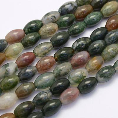 Natural Indian Agate Beads Strands G-G697-G02-8x12mm-1