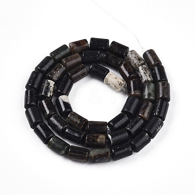 Natural Biotite Beads Strands G-T140-57-1