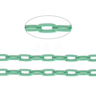 3.28 Feet Eco-friendly Spray Painted Handmade Brass Paperclip Chains X-KK-J276-19-P15-1