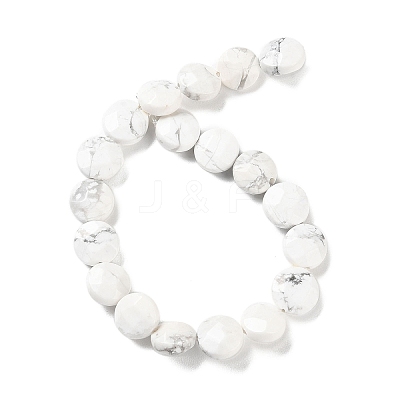 Natural Howlite Beads Strands G-K357-B06-01-1