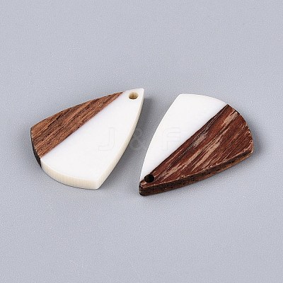 18Pcs 9 Styles Opaque Resin & Walnut Wood Pendants RESI-N053-24-1