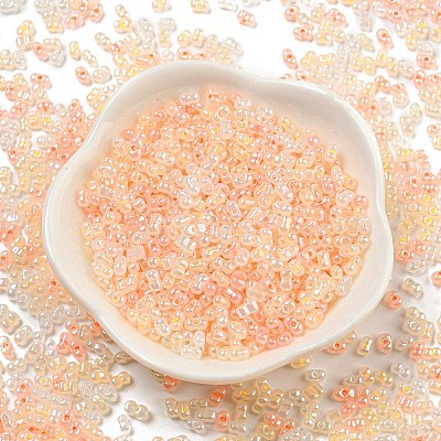 Ceylon Glass Seed Beads SEED-K009-02B-41-1