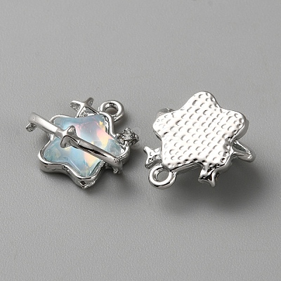Alloy Resin Pendants LS-FIND-TAC0028-24D-1