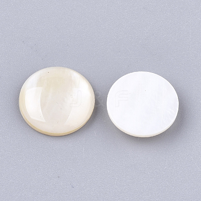 Freshwater Shell Cabochons SHEL-T012-14D-1
