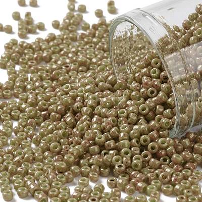 TOHO Round Seed Beads SEED-XTR11-1209-1