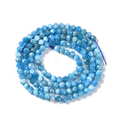 Natural Apatite Beads Strands G-P542-A06-02-1