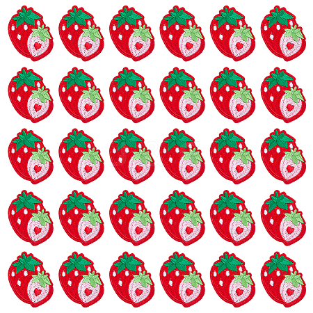 30Pcs Strawberry Computerized Embroidery Cloth Iron on/Sew on Patches PATC-FG0003-73A-1