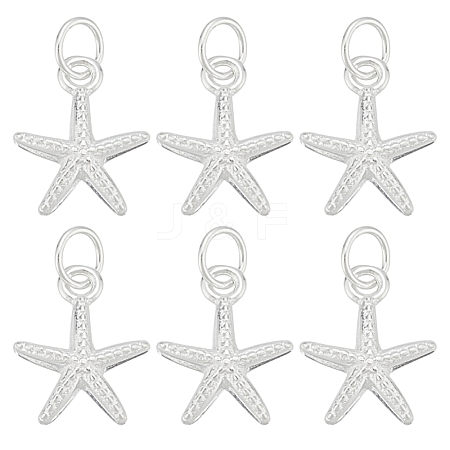 6Pcs 925 Sterling Silver Starfish Charms FIND-HY0004-20-1