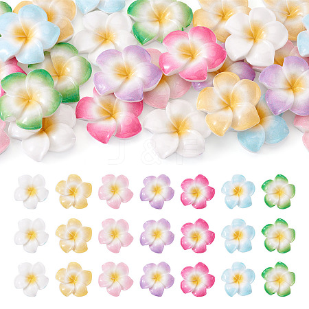 28Pcs 7 Colors Plumeria Flower Opaque Resin Cabochons CRES-TA0001-75-1