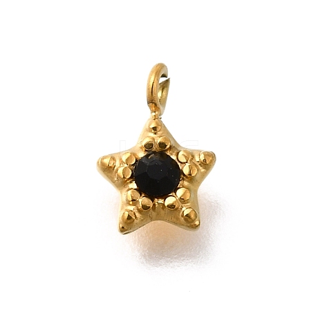304 Stainless Steel Charms STAS-R159-58G-04-1