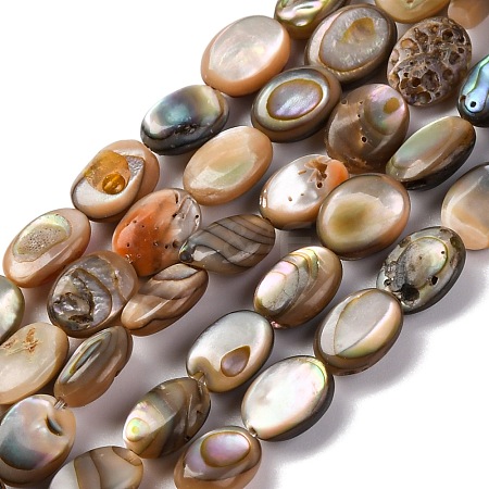 Natural Paua Shell Beads Strands BSHE-B007-06-1