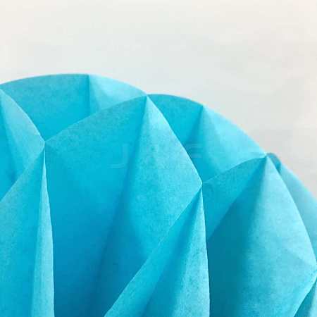 Paper Honeycomb Ball AJEW-WH0003-30cm-16-1