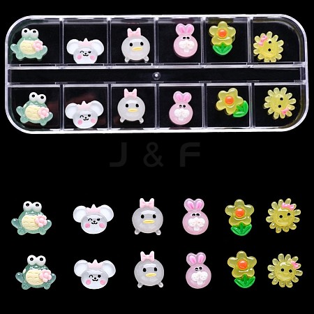 Resin Nail Cabochons with 12 Grid Box MRMJ-S043-055T-1